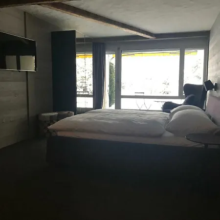 Charly Studio In Gstaad Exterior photo