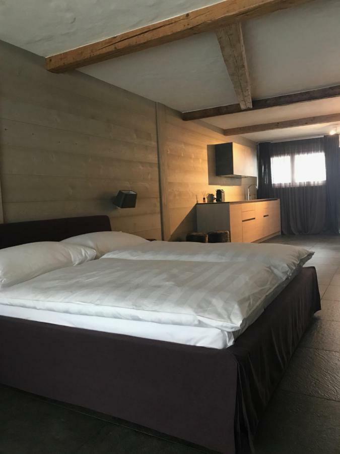 Charly In Apartment Gstaad